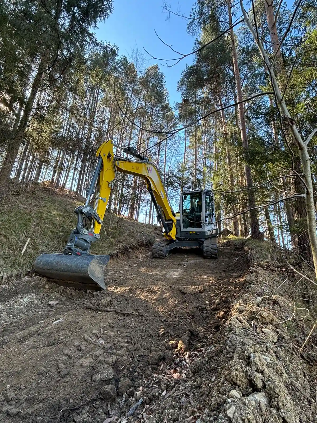 Bagger von Erdbewegung Gruber im Gelände bei Forstarbeiten.